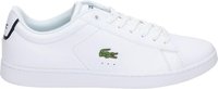 Lacoste carnaby evo BL - white